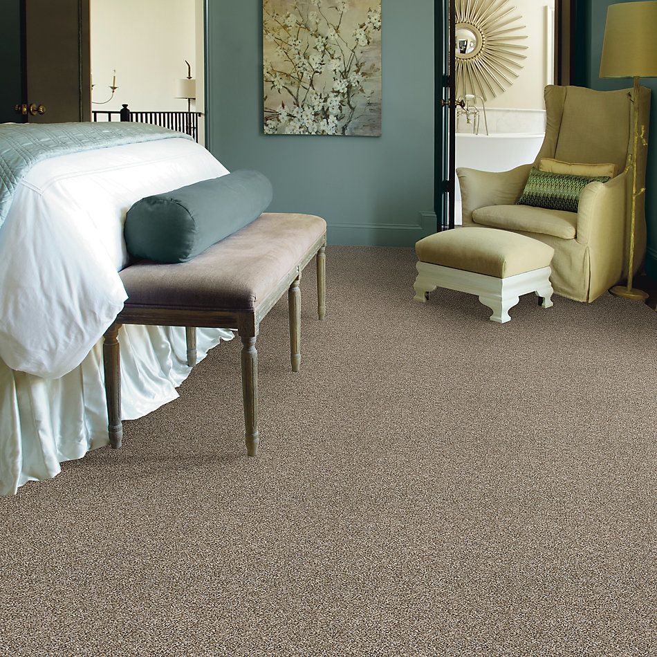 Shaw Floors Value Collections Breathe & Reflect Net Sugar Cookie 00101_EA720