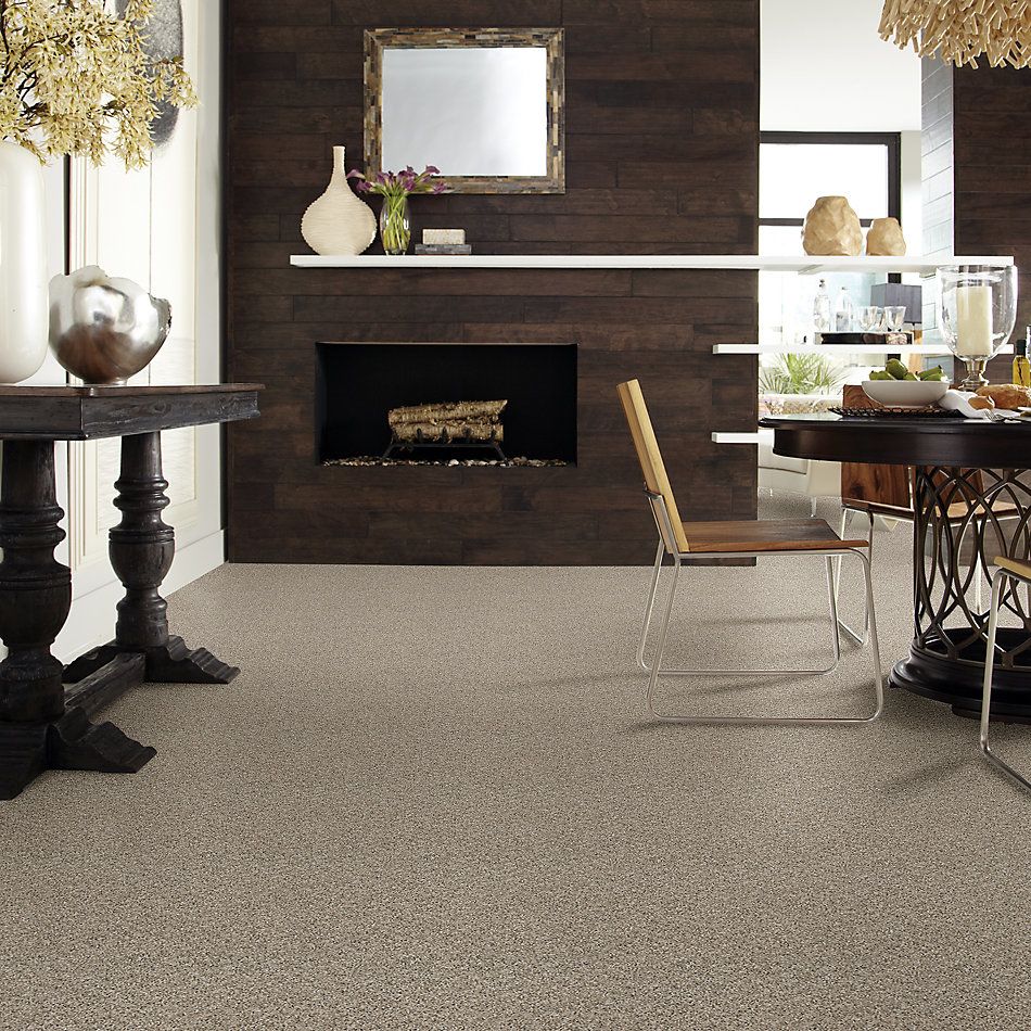 Shaw Floors Value Collections Nature Essence Net Echo 00101_EA723