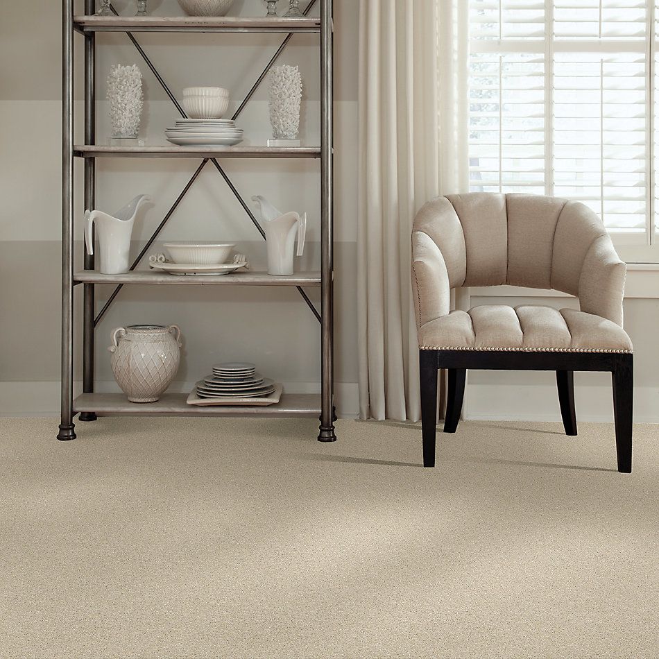 Shaw Floors Nfa/Apg Phenomenal Linen 00101_NA260