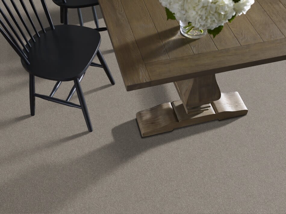 Shaw Floors Nfa Provisional II Abalone 00101_NA519