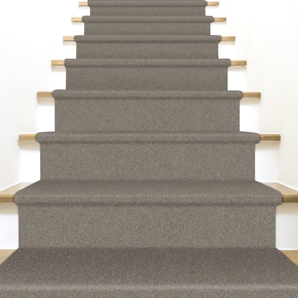 Shaw Floors Nfa Provisional II Abalone 00101_NA519
