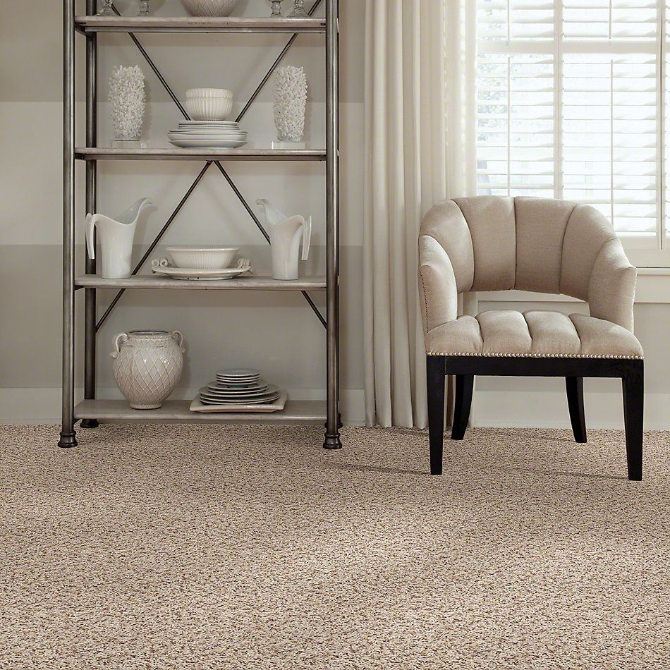Shaw Floors Property Solutions New Twist Champagne 00101_PS564
