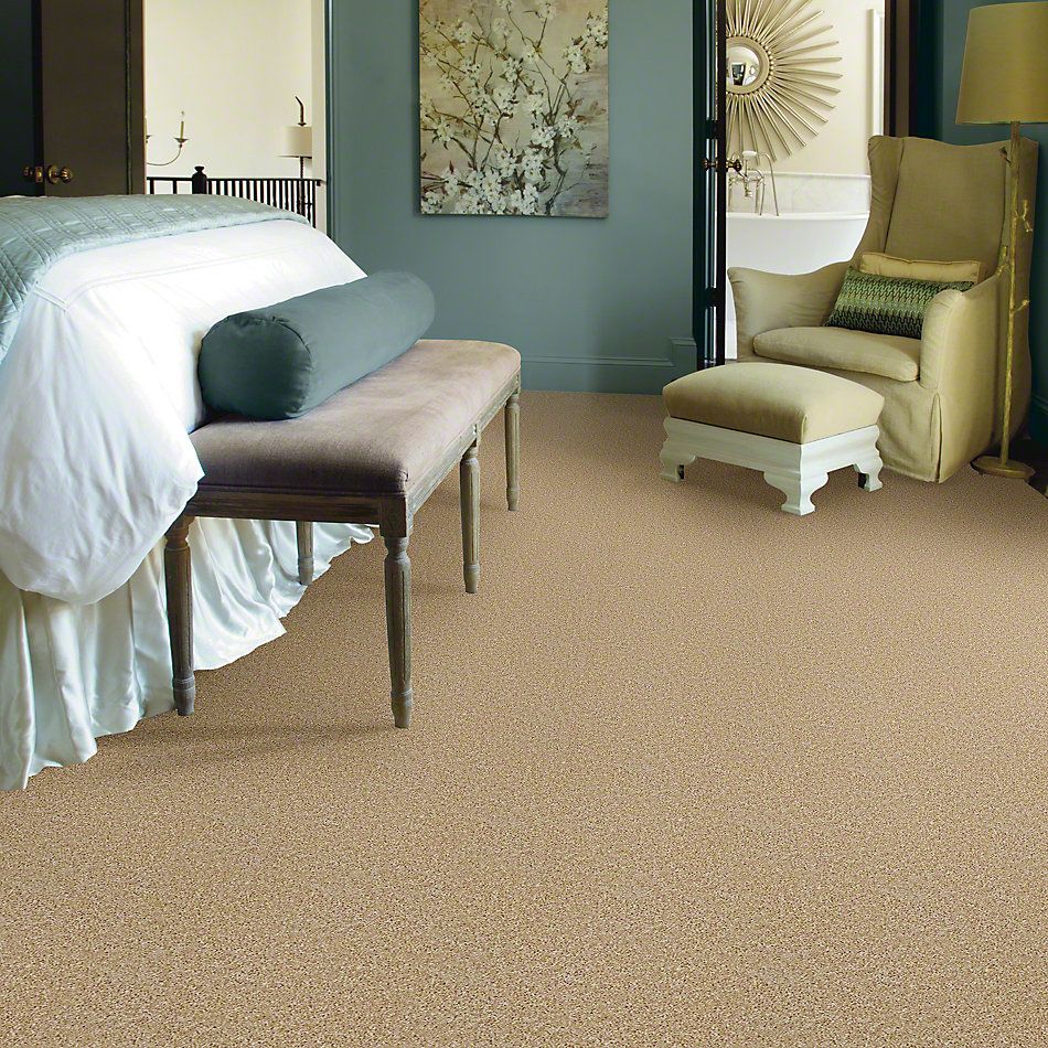 Shaw Floors Property Solutions Falcon Burma Buff 00101_PS590