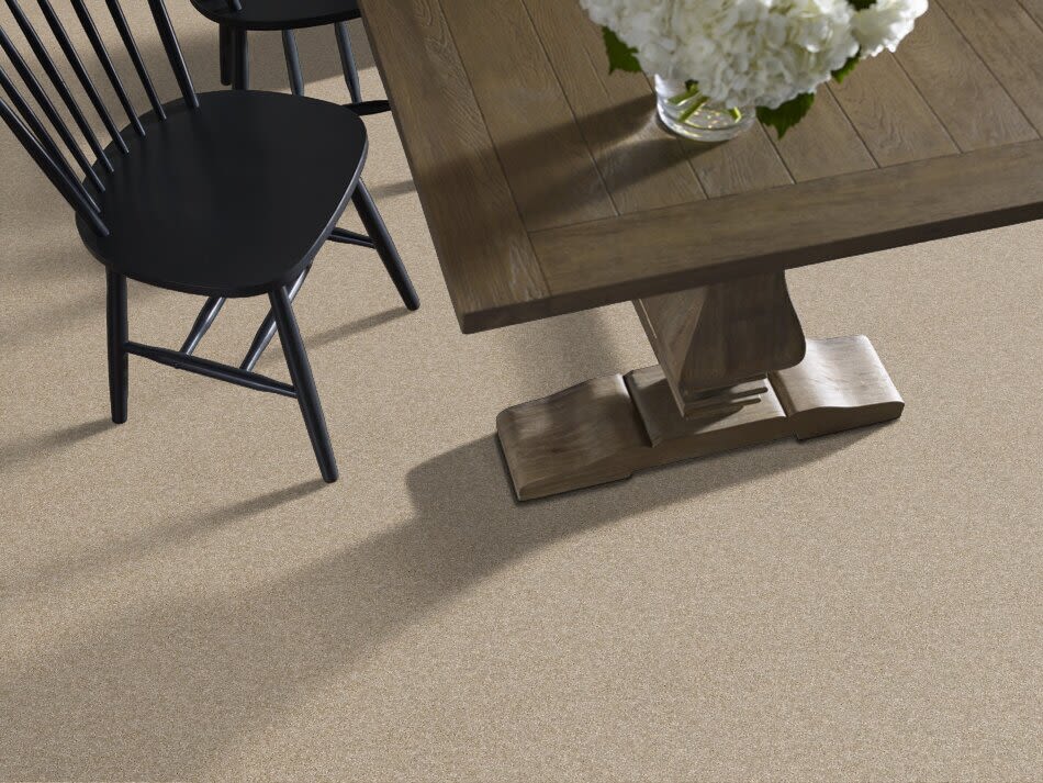 Shaw Floors Value Collections Xy207 Net Sand Castle 00101_XY207