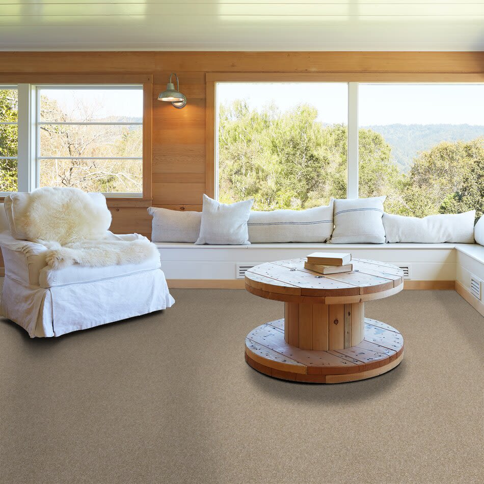 Shaw Floors Value Collections Xy207 Net Sand Castle 00101_XY207