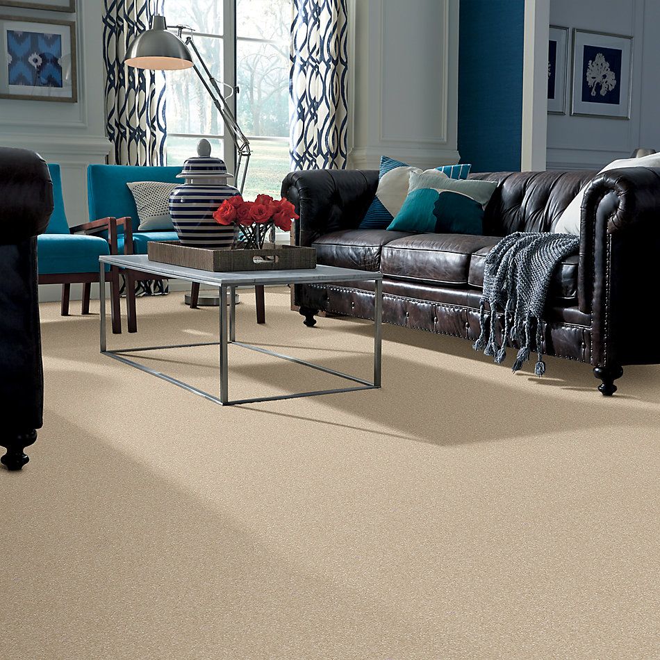 Anderson Tuftex American Home Fashions Ziggy Fortune Cookie 00101_ZA945