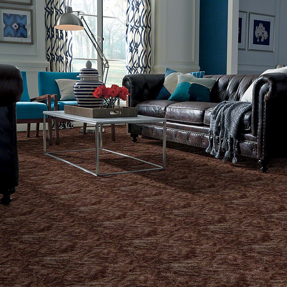Shaw Floors Dynamics Moccasin 52606_00102