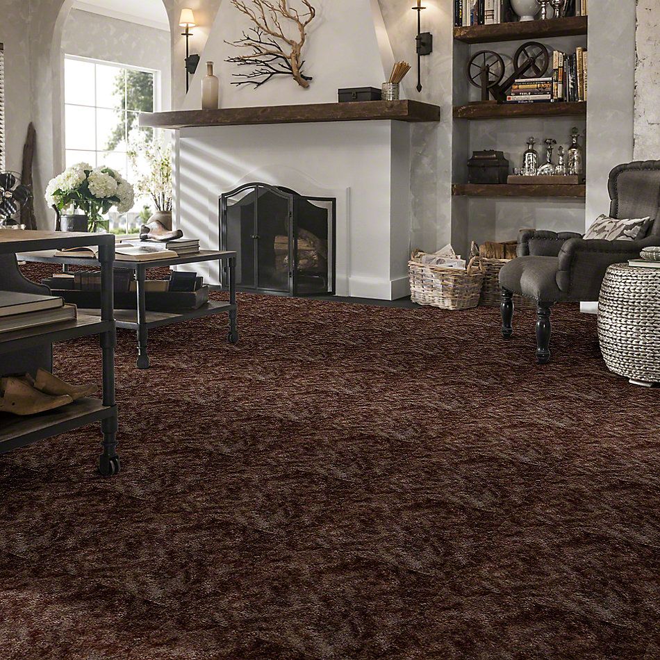 Shaw Floors Dynamics Moccasin 52606_00102