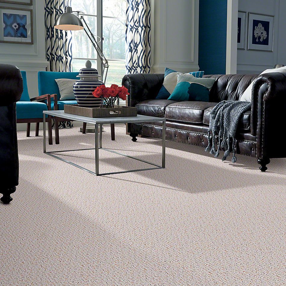 Shaw Floors Pure Waters 15 Clam Shell 52H11_00102