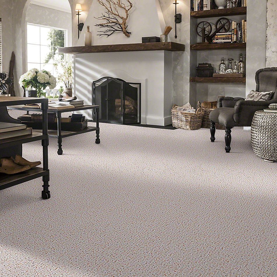 Shaw Floors Pure Waters 15 Clam Shell 52H11_00102