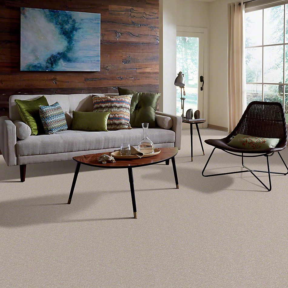 Shaw Floors SFA Passageway III Cloud 52S26_00102