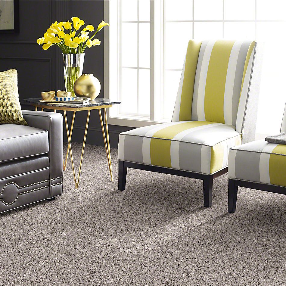 Shaw Floors Guess Work (s) Soft Shell 52T99_00102