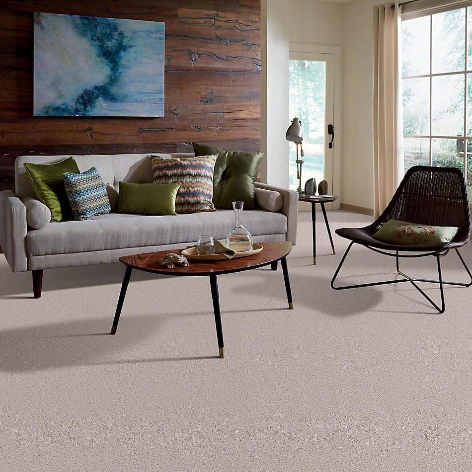 Shaw Floors Full Court 12′ Angel Cloud 52Y46_00102