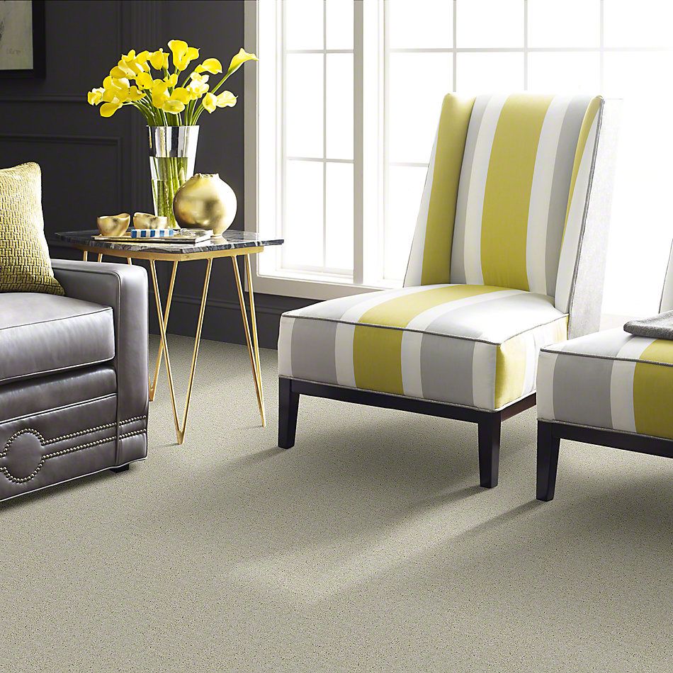 Shaw Floors Full Court 15′ Angel Cloud 52Y82_00102