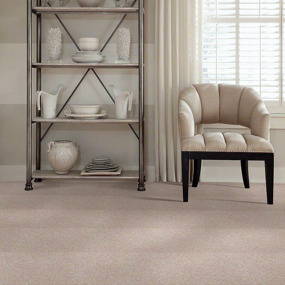 Shaw Floors Town Creek I 15′ Cloud 52V12_00102