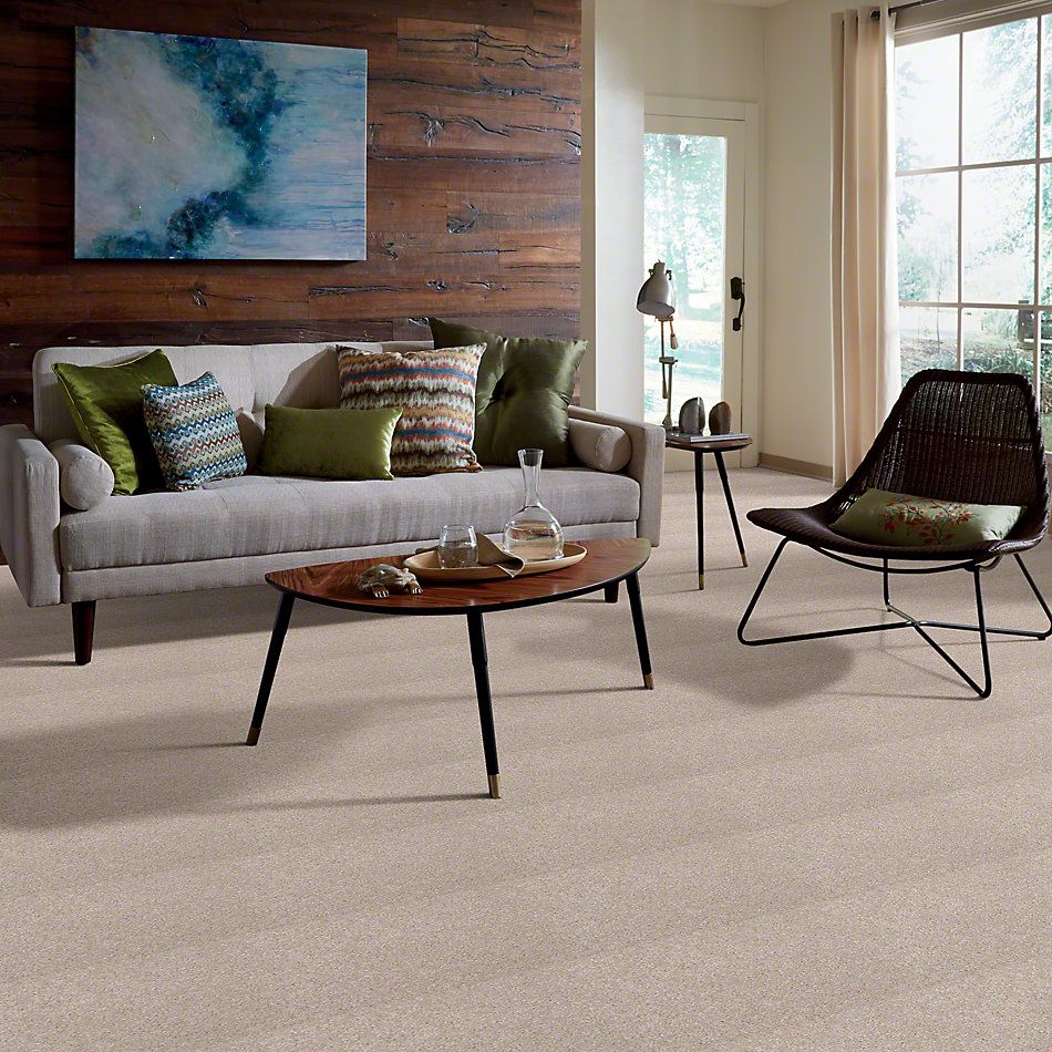 Shaw Floors Town Creek I 15′ Cloud 52V12_00102