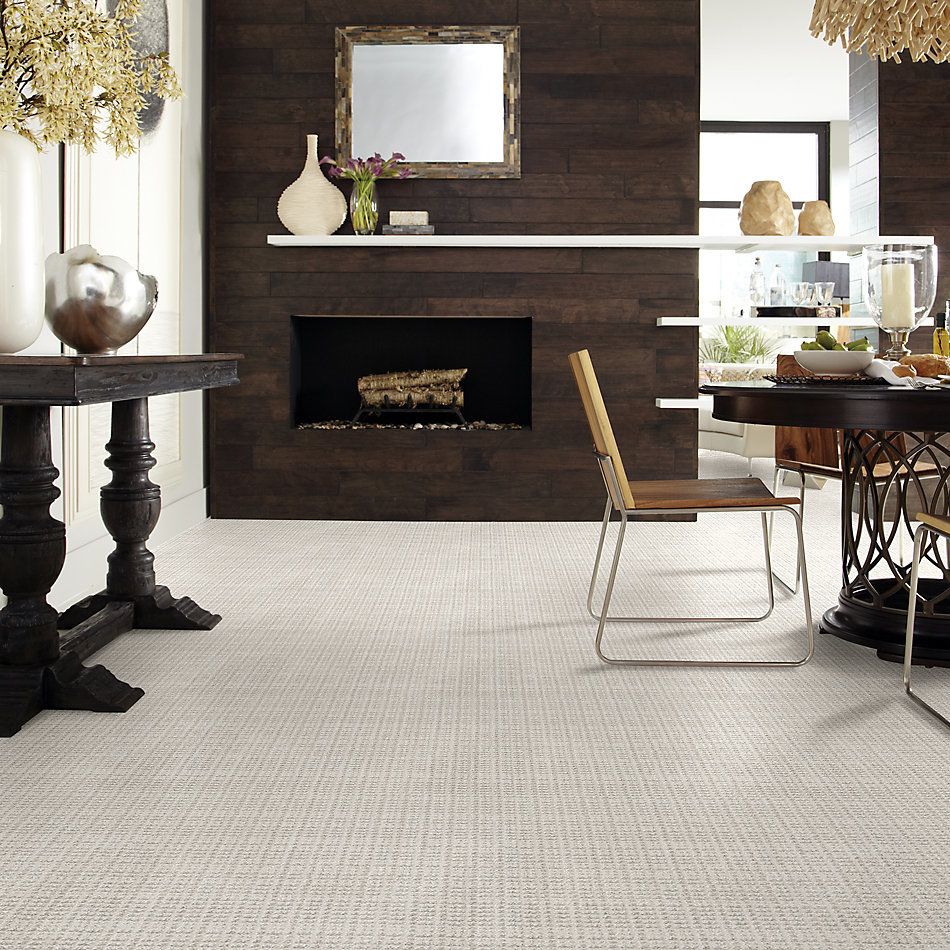 Shaw Floors Pet Perfect Plus Charming Transition Winters Dawn 00102_5E274