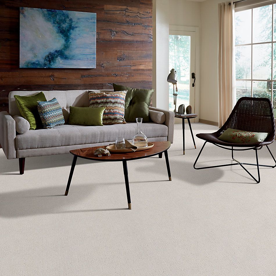 Shaw Floors Foundations Mainstay Net Winters Dawn 00102_5E302