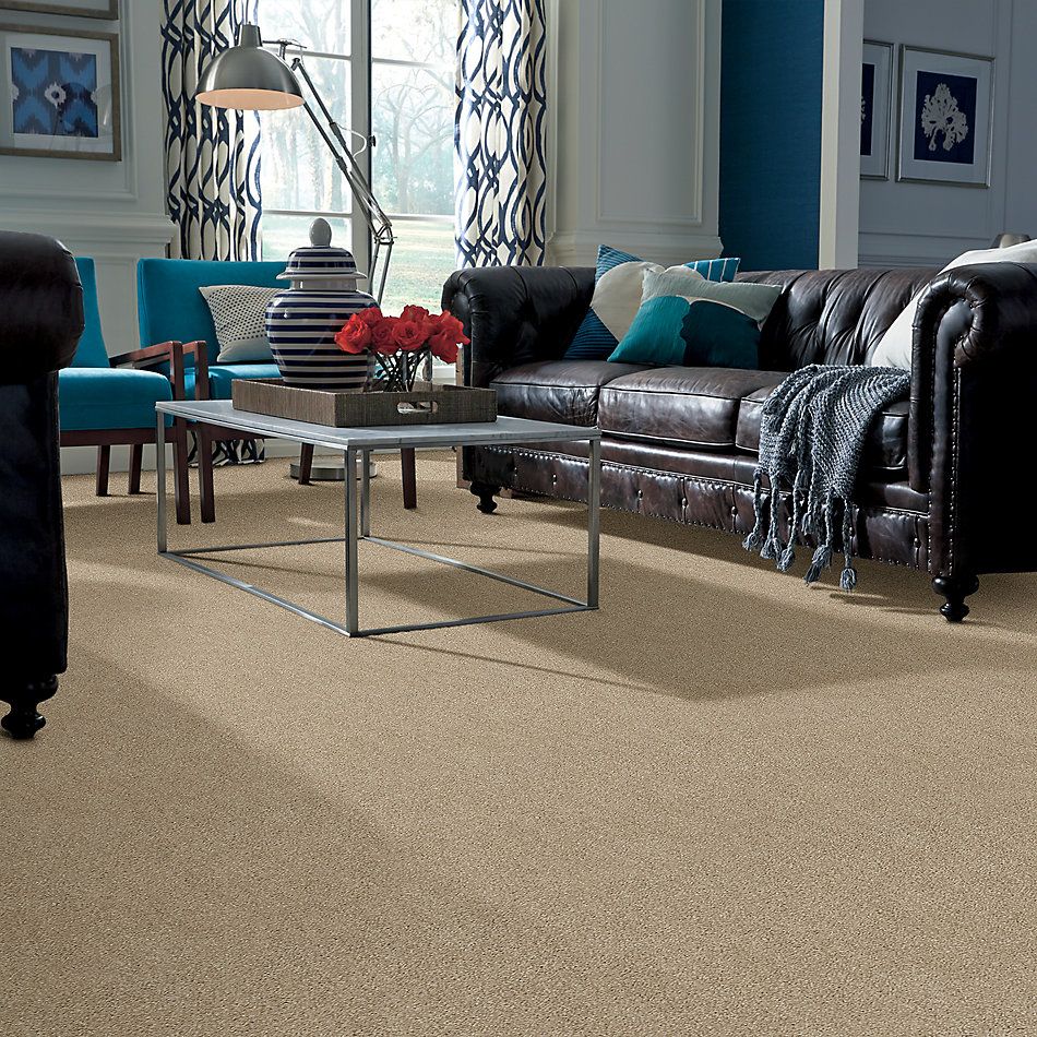 Shaw Floors Value Collections Valiant Net Sweet Cream 00102_5E387