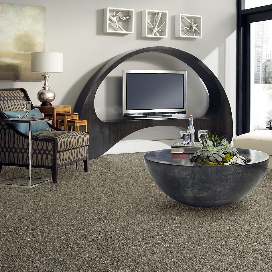 Shaw Floors Clayton Homes Enterprise Park Fox Fur 00102_C013Y