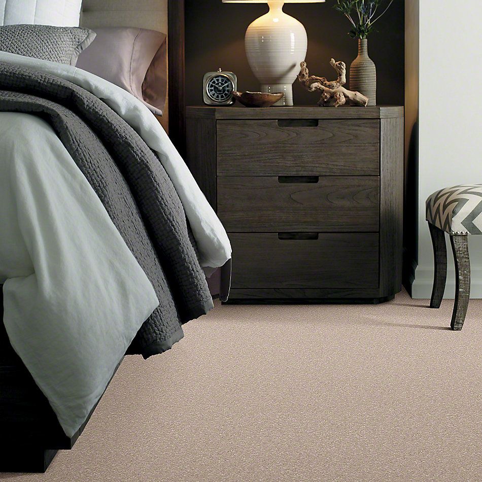 Shaw Floors Value Collections Look Forward Net French Canvas 00102_E9125