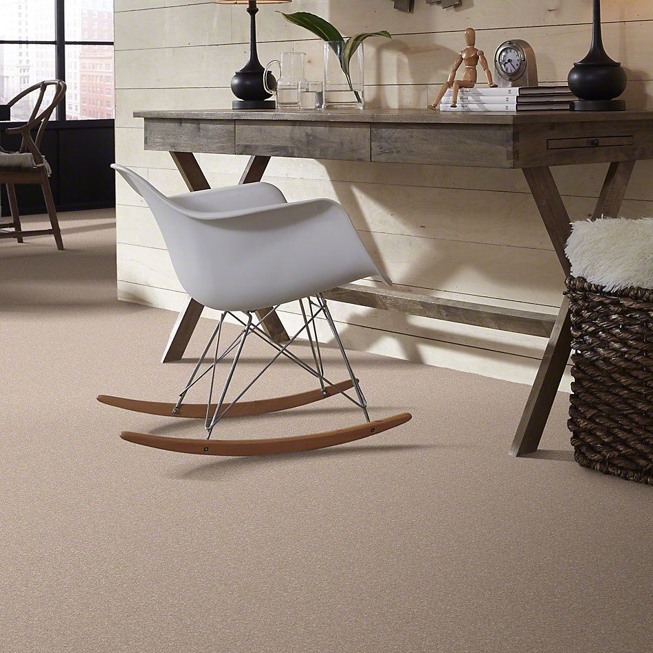 Shaw Floors Value Collections Look Forward Net French Canvas 00102_E9125
