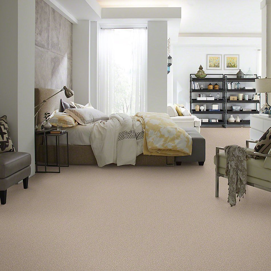 Shaw Floors Value Collections Majority Rules Net French Canvas 00102_E9126