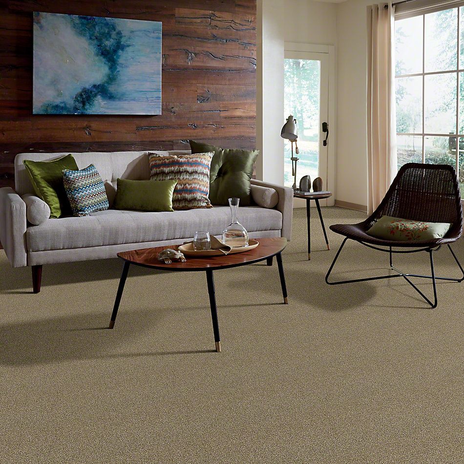 Shaw Floors Simply The Best Of Course We Can I 15′ Biscotti 00102_E9422