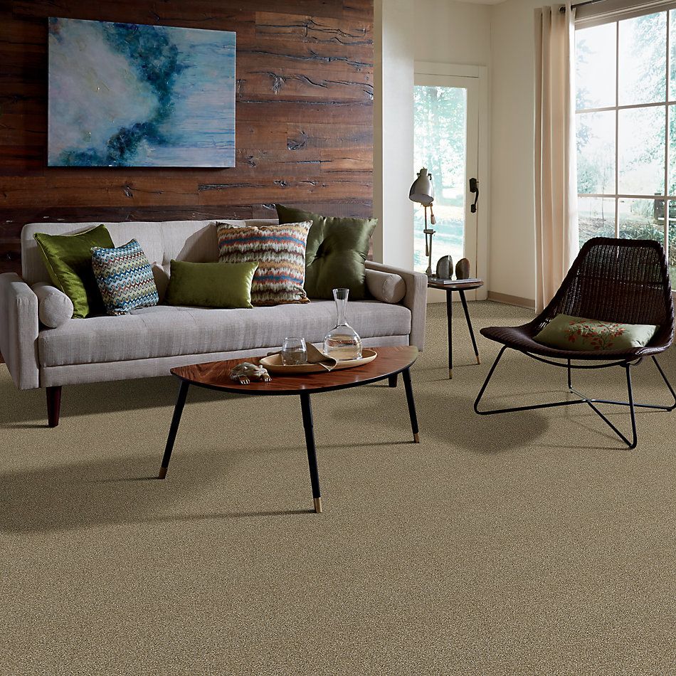 Shaw Floors Value Collections Stay The Course 12′ Biscotti 00102_E9905