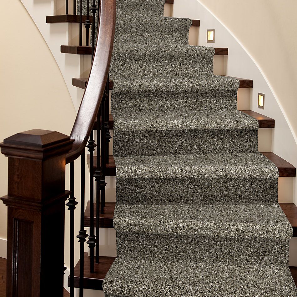 Shaw Floors Value Collections Go All Out Fox Fur 00102_E9909