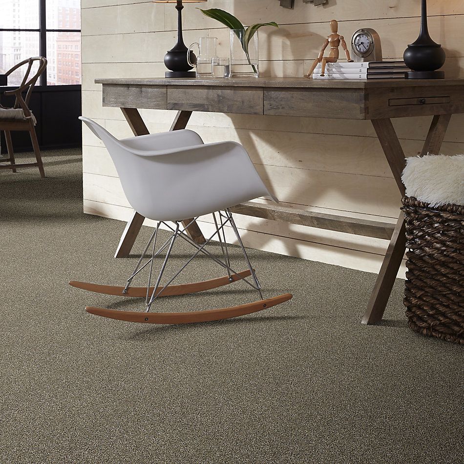 Shaw Floors Value Collections Go All Out Fox Fur 00102_E9909