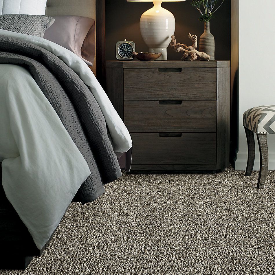Shaw Floors Value Collections Accents For Sure 15′ Cape Town 00102_E9923