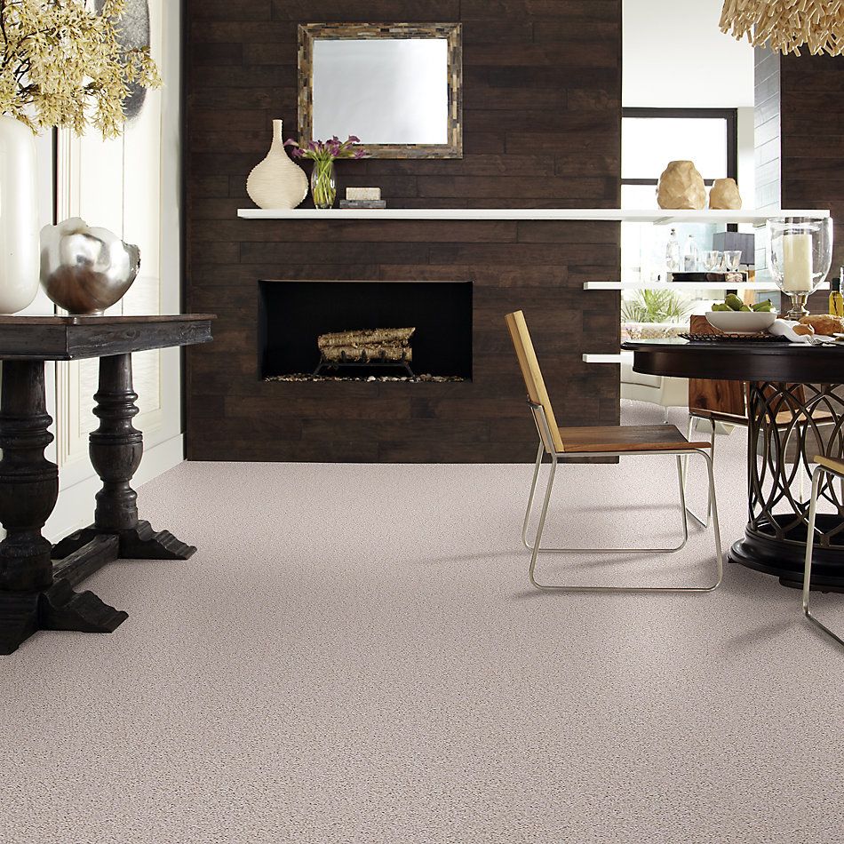 Shaw Floors Nfa/Apg Leading Legacy Pebble 52V25_00102