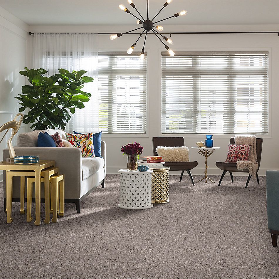 Shaw Floors Nfa/Apg Leading Legacy Pebble 52V25_00102