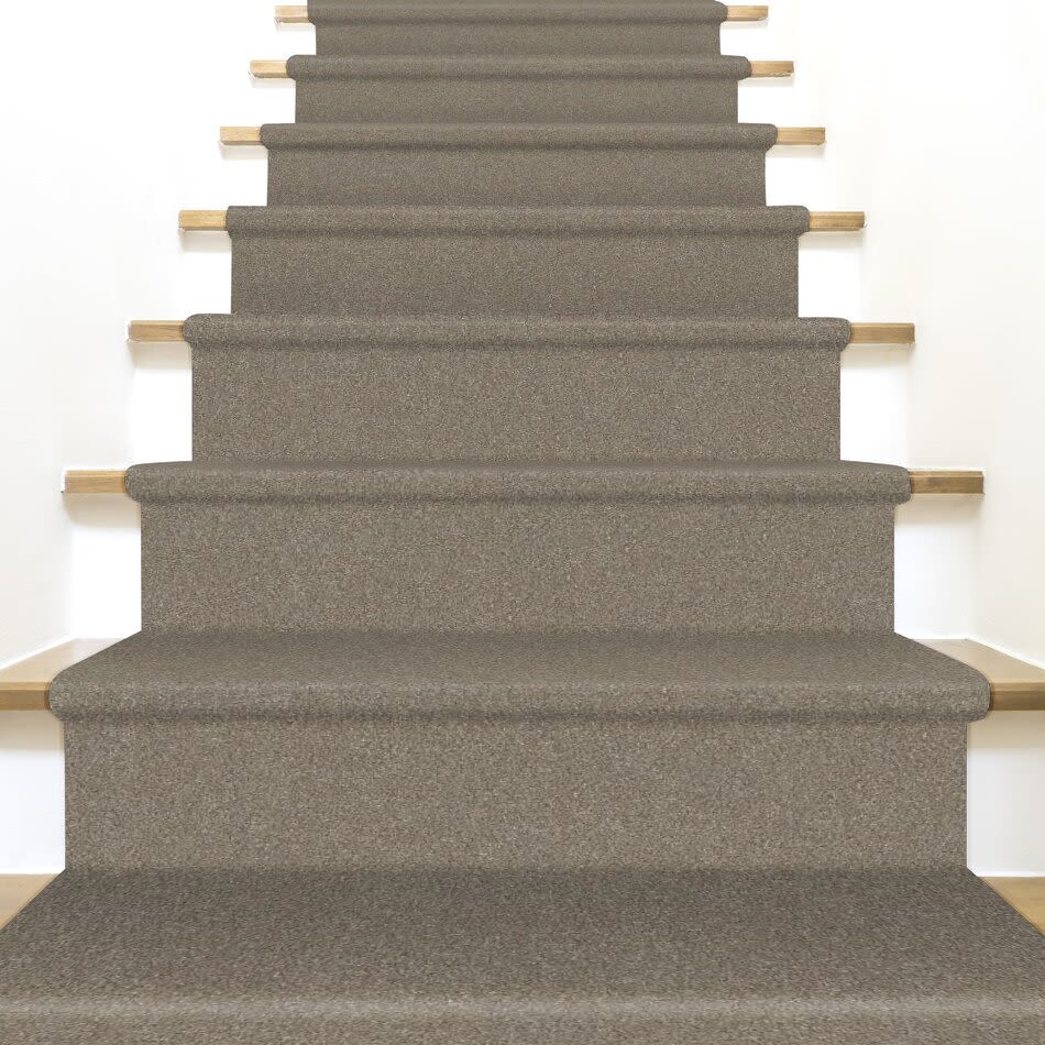 Shaw Floors Nfa Provisional II Macadamia 00102_NA519