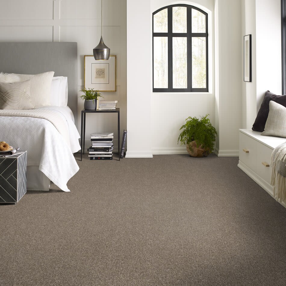 Shaw Floors Value Collections Xy145 12′ Net Cape Town 00102_XY145