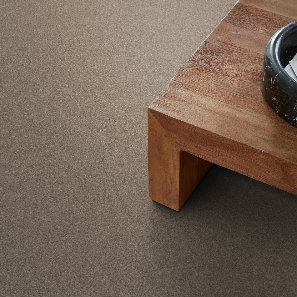 Shaw Floors Value Collections Xy196 Biscotti 00102_XY196
