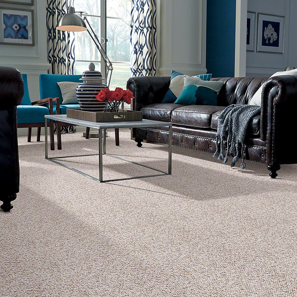 Shaw Floors SFA First Issue Sand Dollar 19593_00103