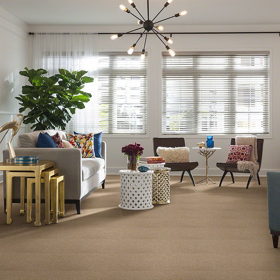 Shaw Floors Town Creek I 15′ Ecru 52V12_00103