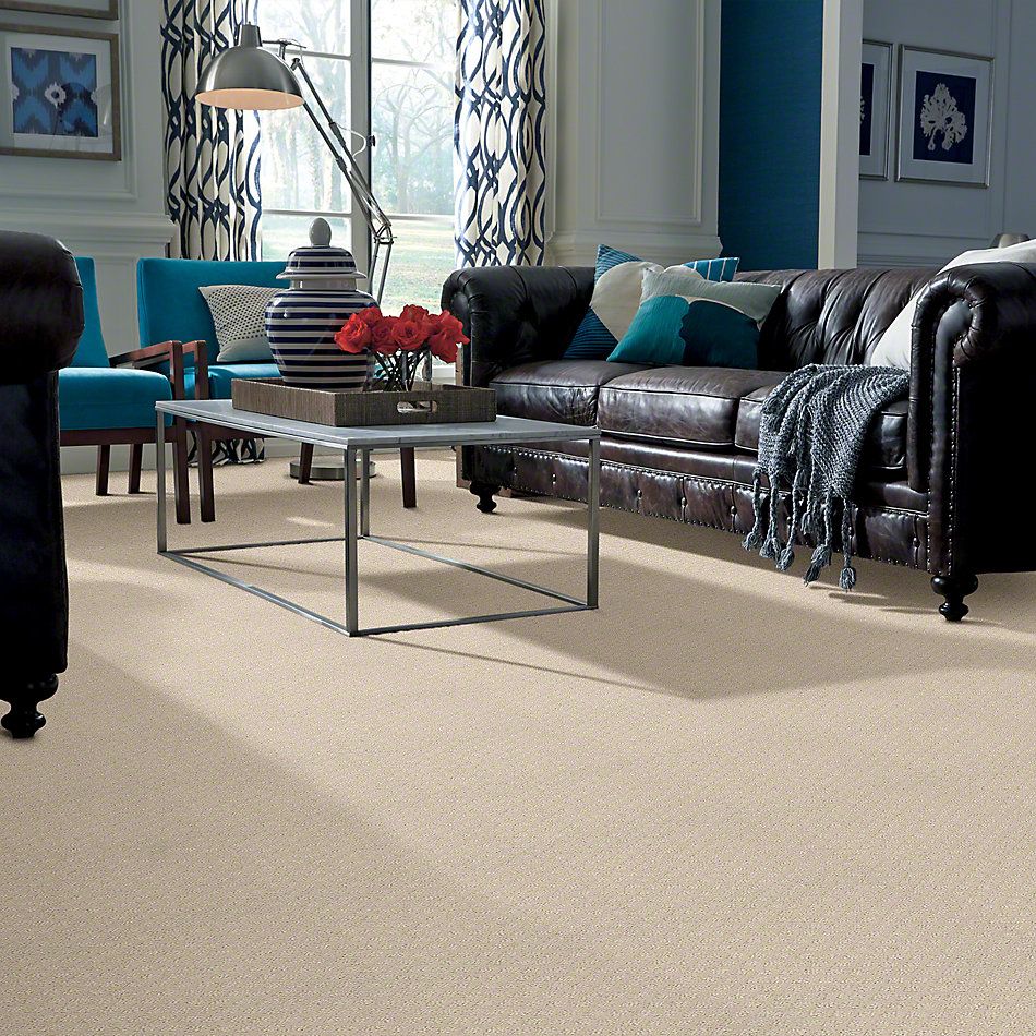 Shaw Floors Padova Sand Pebble 52V37_00103
