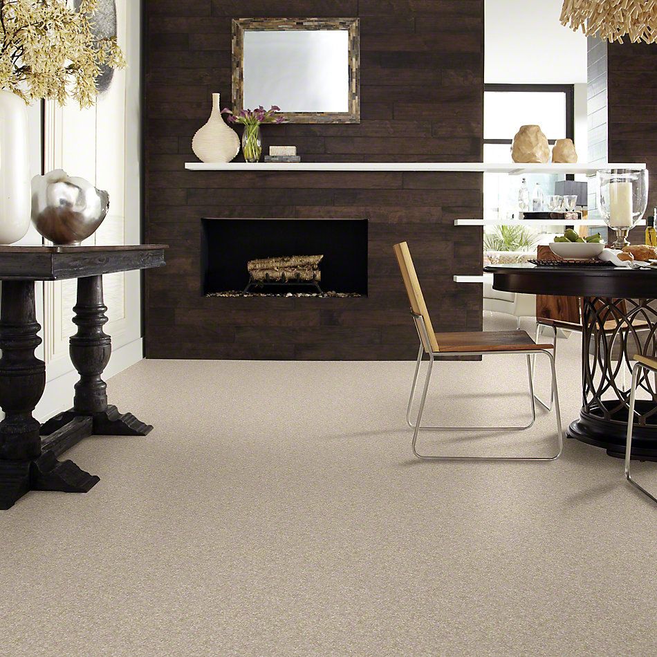 Shaw Floors Shaw Flooring Gallery Premier Role Gallery 00103_5571G