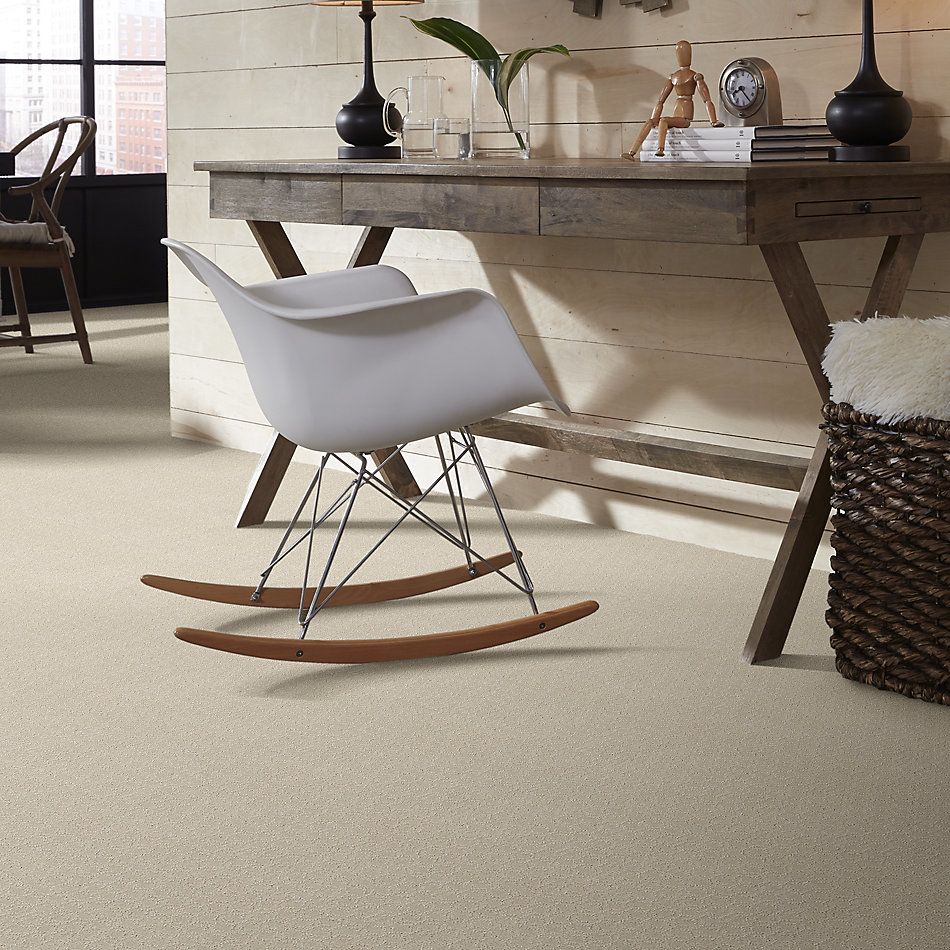 Shaw Floors Simply The Best Valid Net Pearl 00103_5E347
