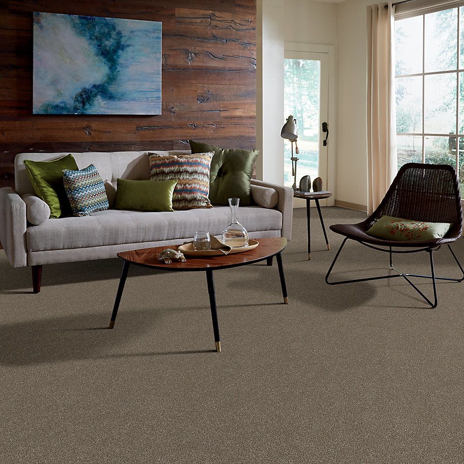 Shaw Floors Simply The Best Without Limits II Sandbank 00103_5E483