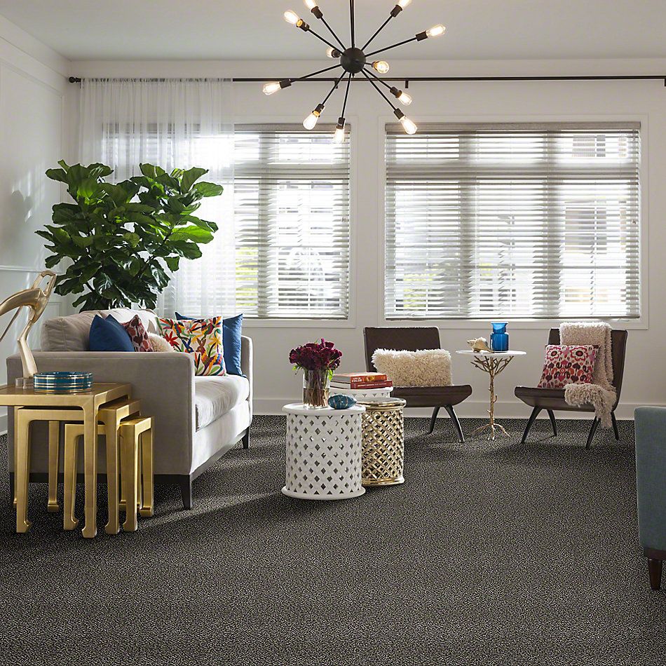 Shaw Floors Simply The Best Because We Can III 12′ Birch Tree 00103_E9188