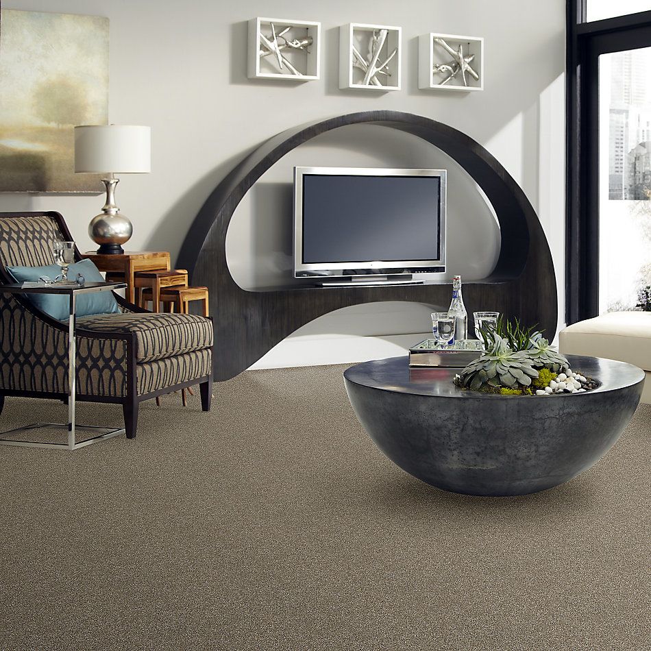 Shaw Floors Value Collections Stay The Course 15′ Cameo 00103_E9920