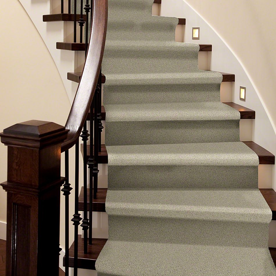 Shaw Floors SFA My Inspiration I French Linen 00103_EA559