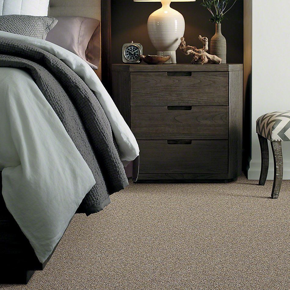 Shaw Floors Simply The Best Nature Essence Moonlit Sand 00103_EA692