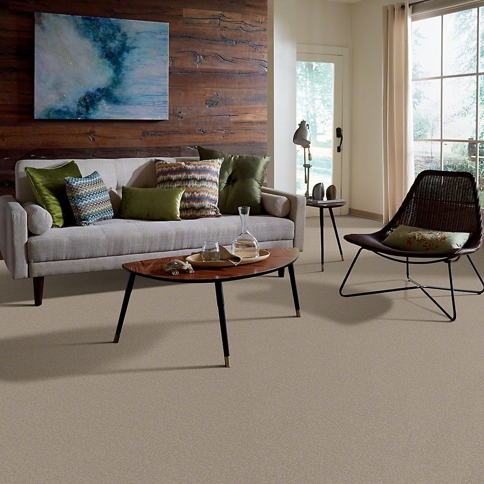 Shaw Floors Shaw Flooring Gallery Truly Modern I 12′ Mountain Mist 00103_Q263G