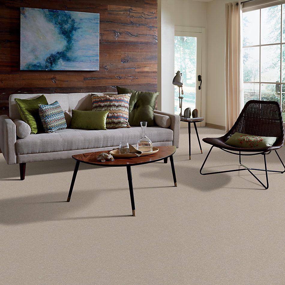 Shaw Floors Xz154 Dreamy 00103_XZ154