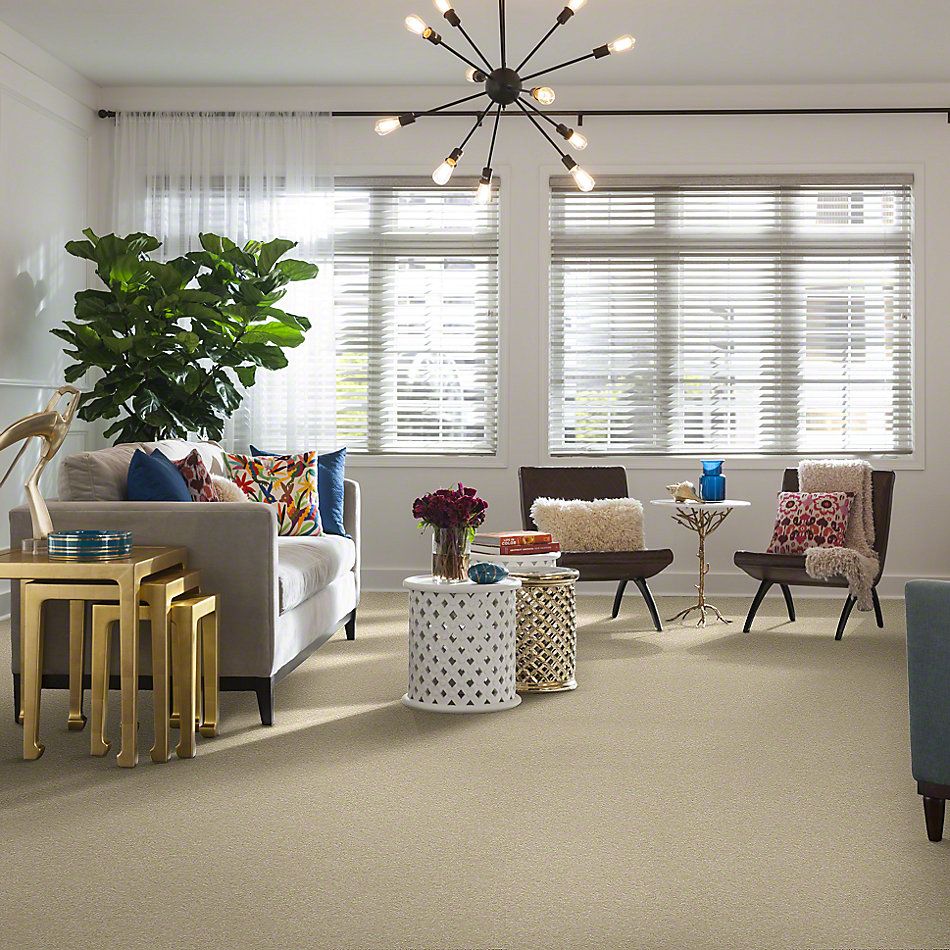 Shop Shaw Floors Sfa Vivid Colors Iii Biscuit 00104 0c162 Carpet Vic S Carpet Flooring